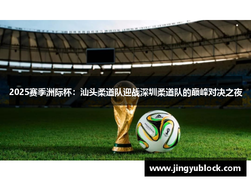 2025赛季洲际杯：汕头柔道队迎战深圳柔道队的巅峰对决之夜