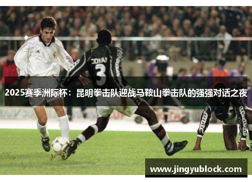 2025赛季洲际杯：昆明拳击队迎战马鞍山拳击队的强强对话之夜
